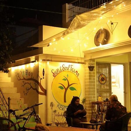 Sun N Soil Backpacker Hostel Lachhiwala Luaran gambar