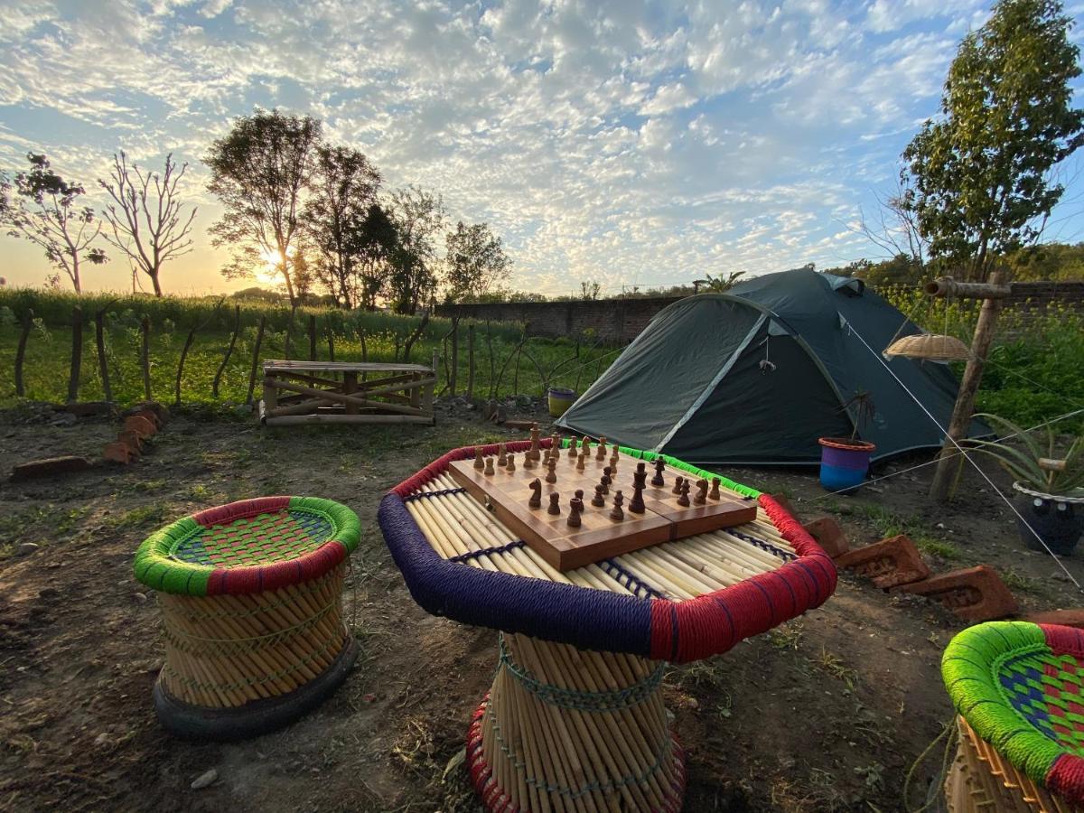 Sun N Soil Backpacker Hostel Lachhiwala Luaran gambar
