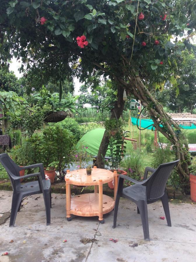 Sun N Soil Backpacker Hostel Lachhiwala Luaran gambar