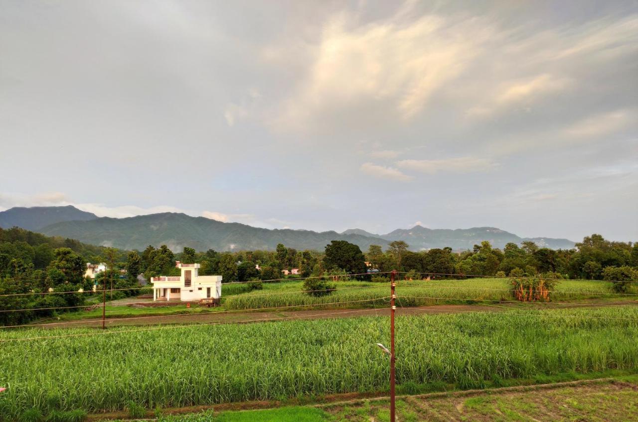 Sun N Soil Backpacker Hostel Lachhiwala Luaran gambar