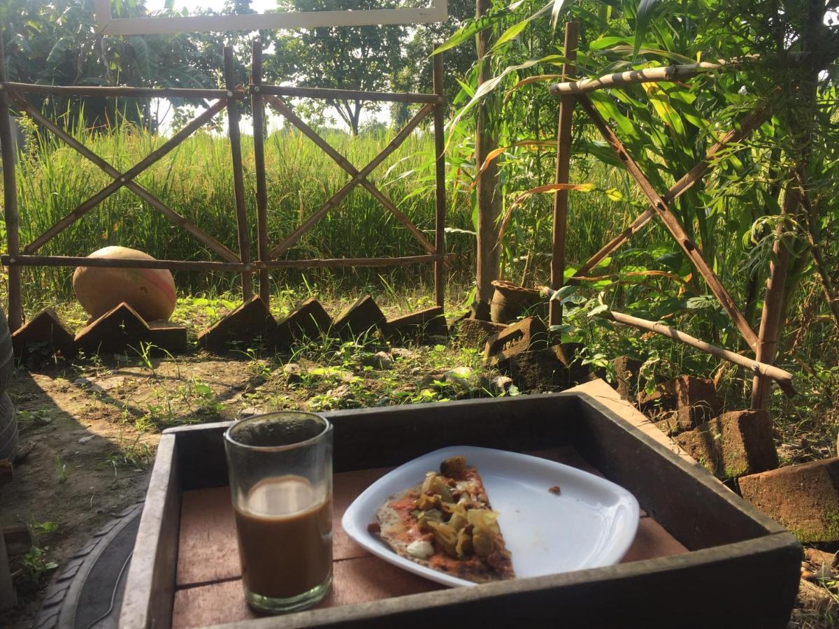 Sun N Soil Backpacker Hostel Lachhiwala Luaran gambar