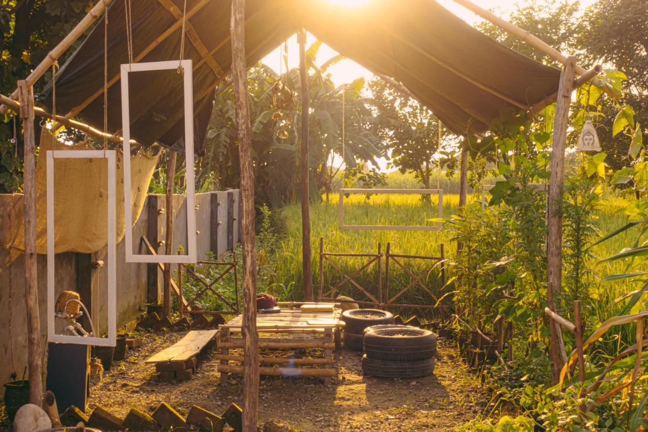 Sun N Soil Backpacker Hostel Lachhiwala Luaran gambar